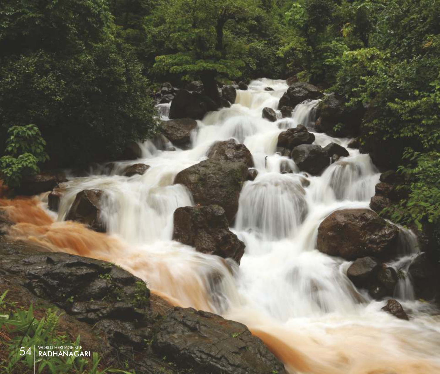 Maharashtra's Hidden Green Jewel
