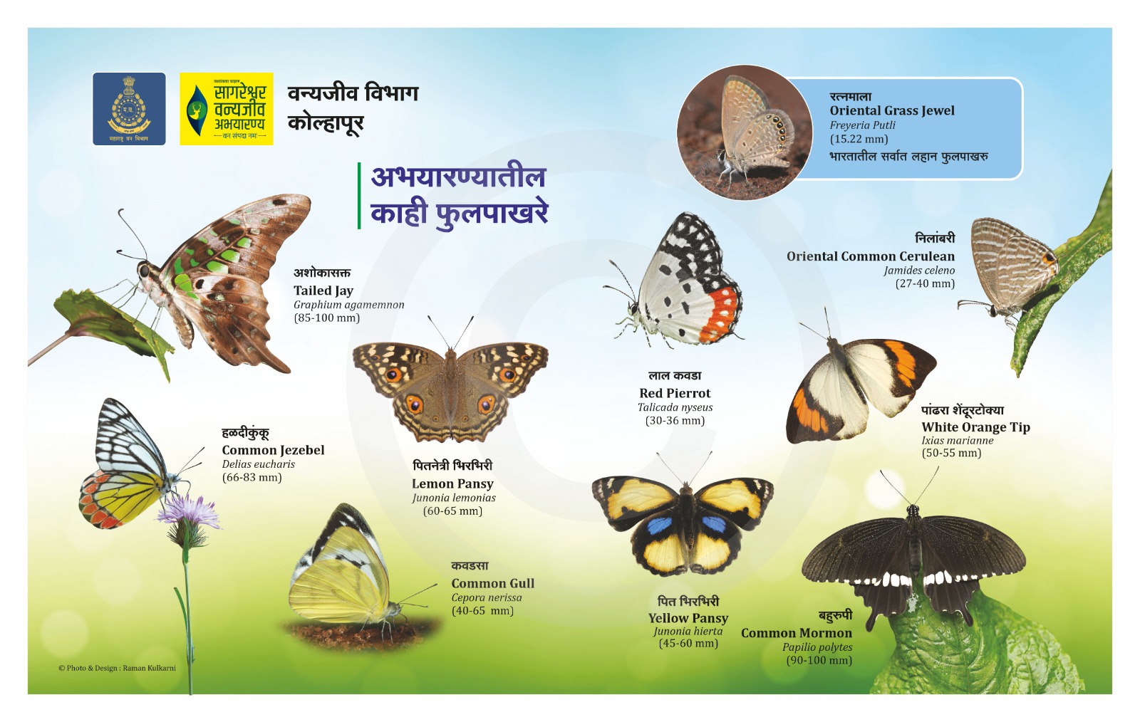 Sagareshwar