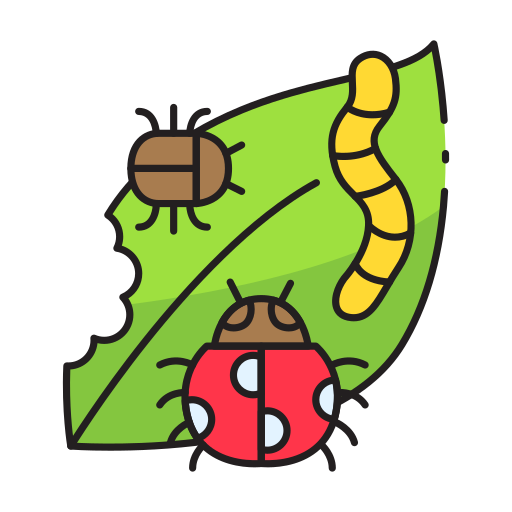 Insects
